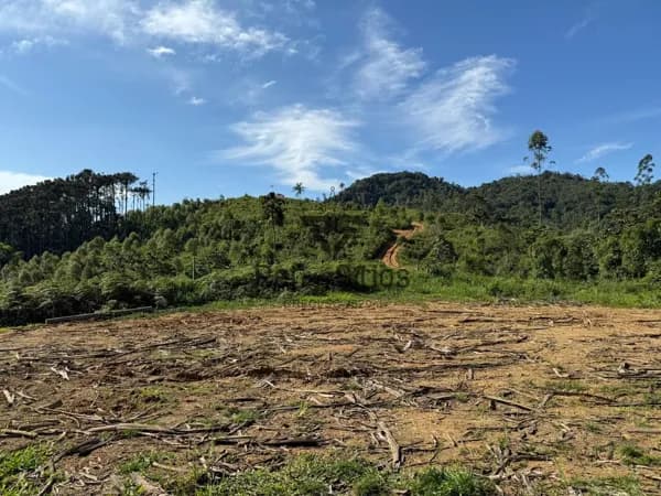 Terreno Rural para Chácara (PREÇO DE OCASIÃO)
