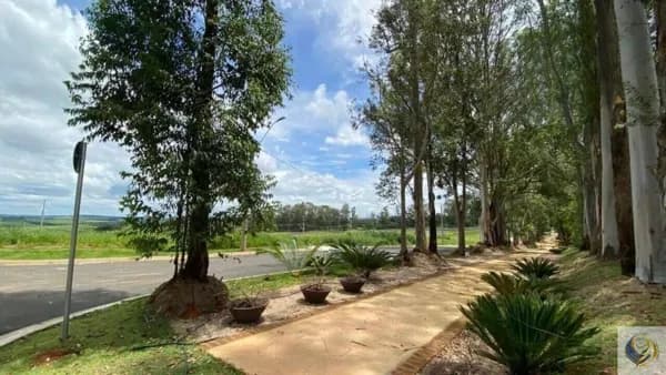 Lote/Terreno em Jaguariúna - Colinas do Castelo