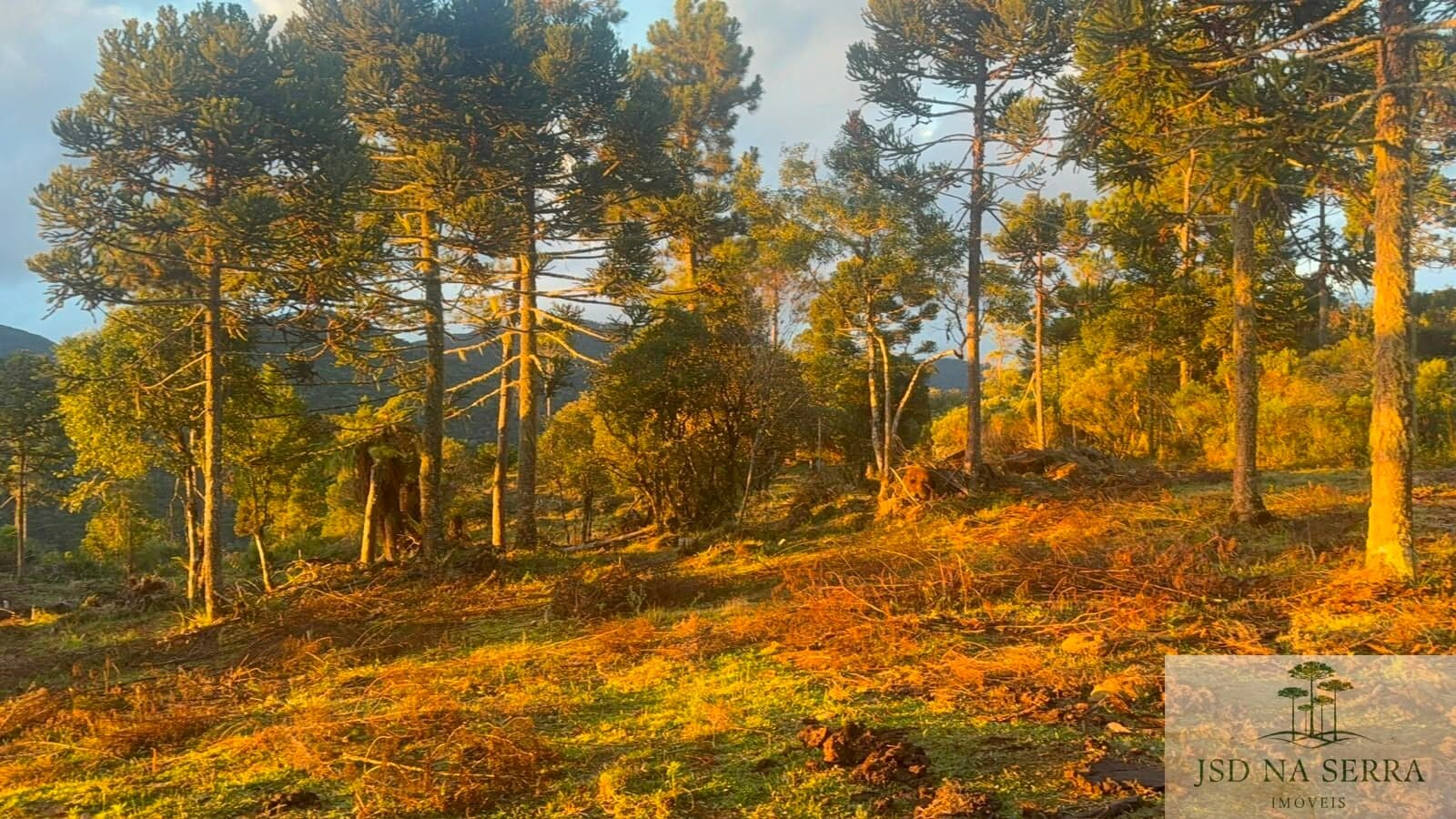 Lote/Terreno em São Joaquim - Cadet
