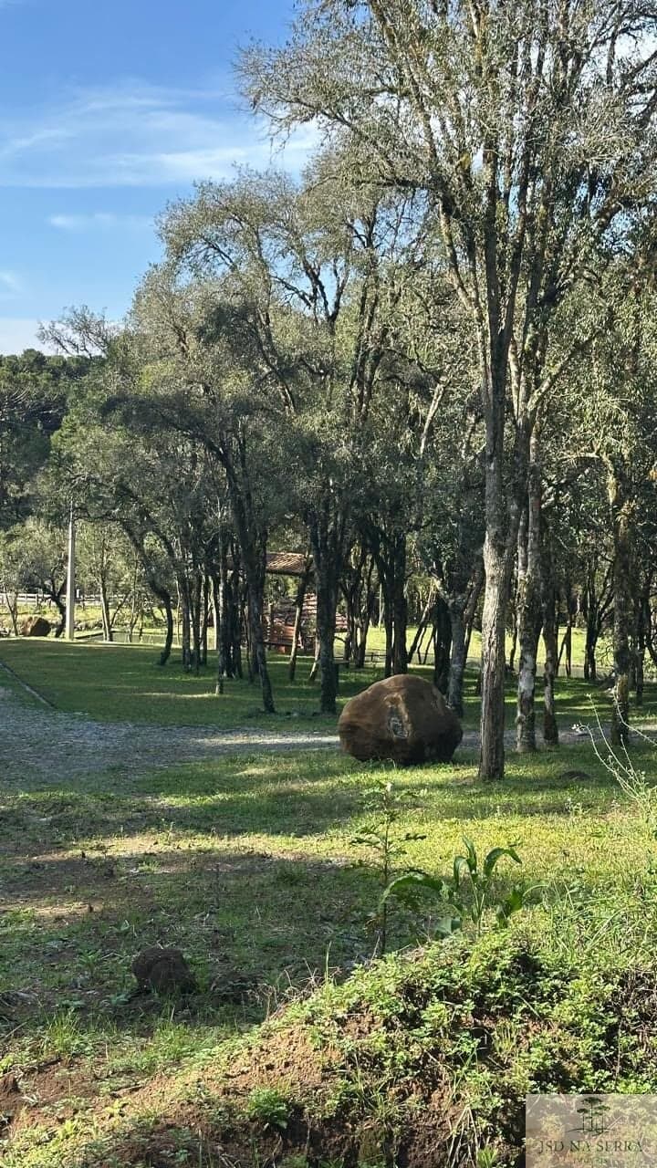 Fazenda/Sítios/Chácaras em Urubici - Centro
