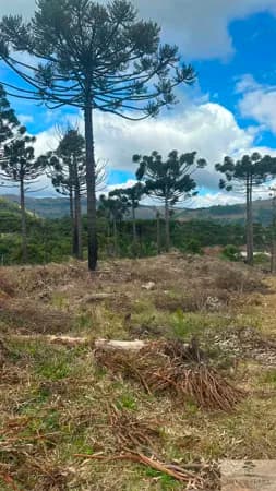 Terreno em Vacas Gordas, Urubici/SC