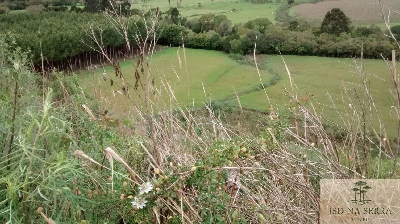 Fazenda/Sítios/Chácaras em Bom Retiro - Interior