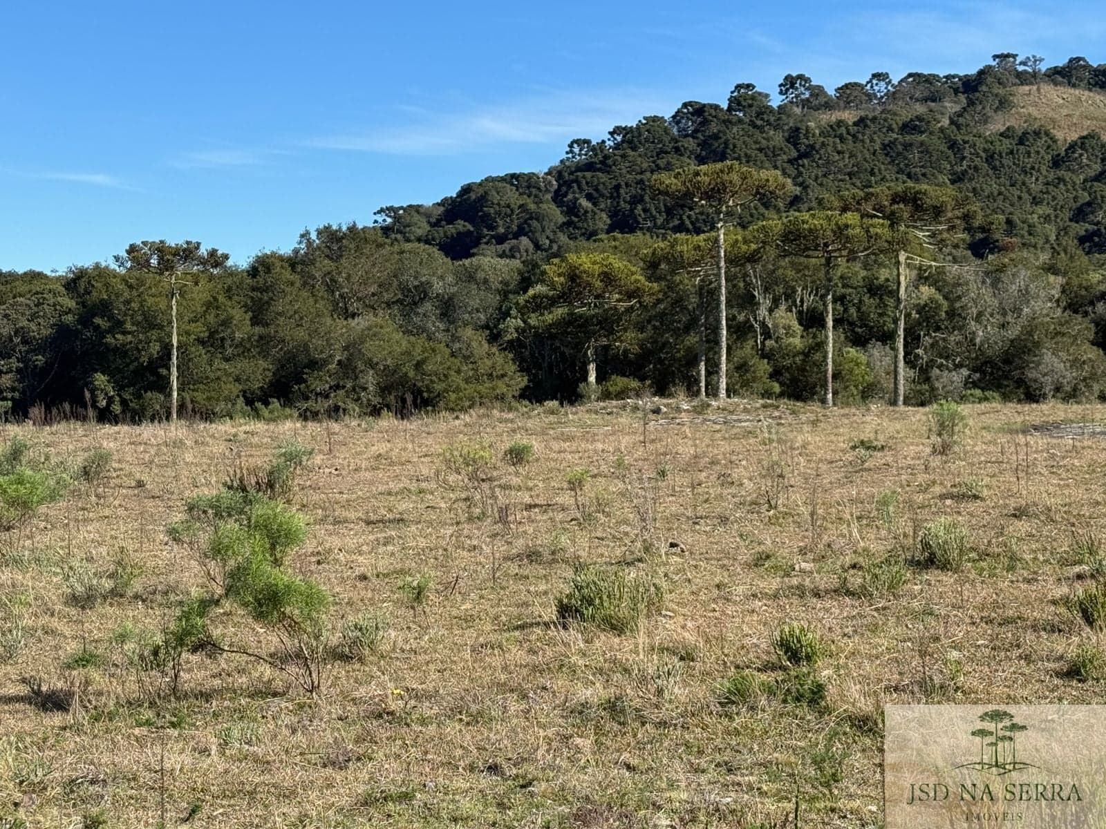 Lote/Terreno em Urubici - Invernador