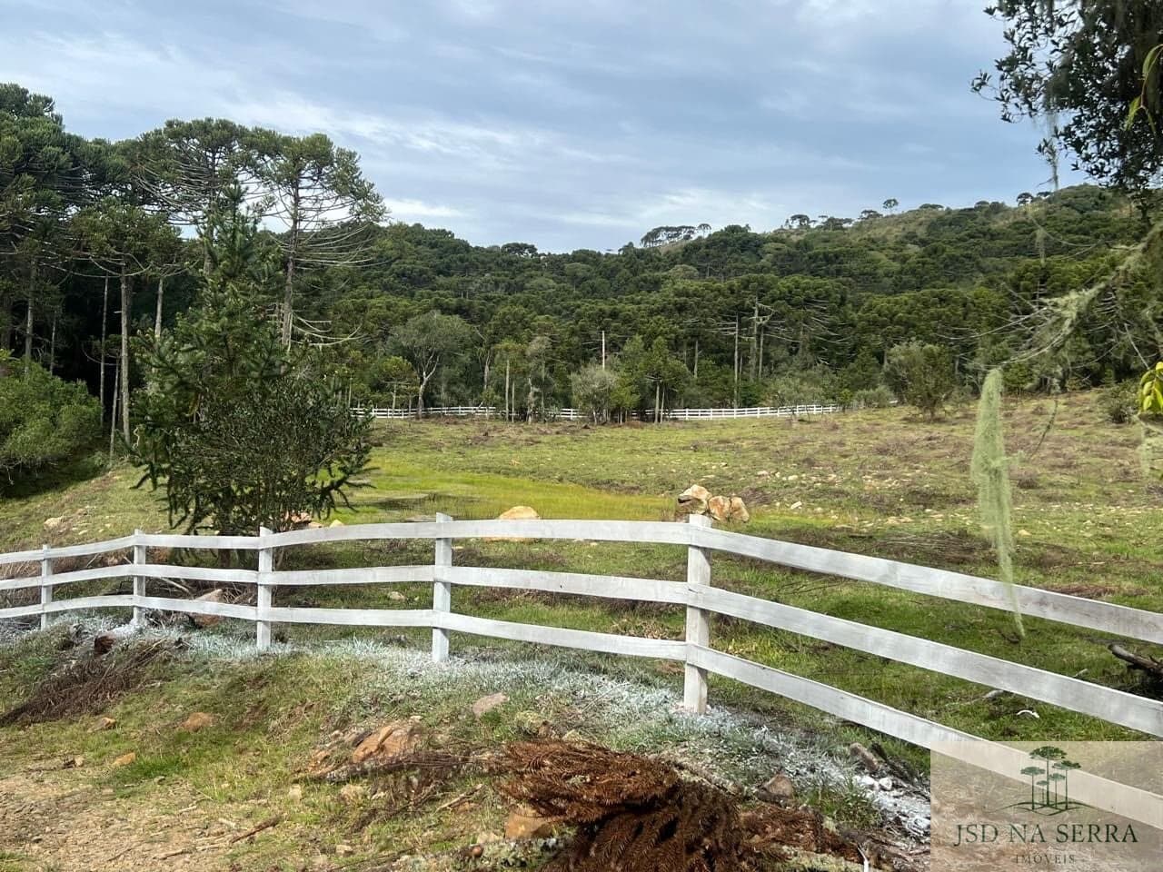 Lote/Terreno em São Joaquim - Cadet