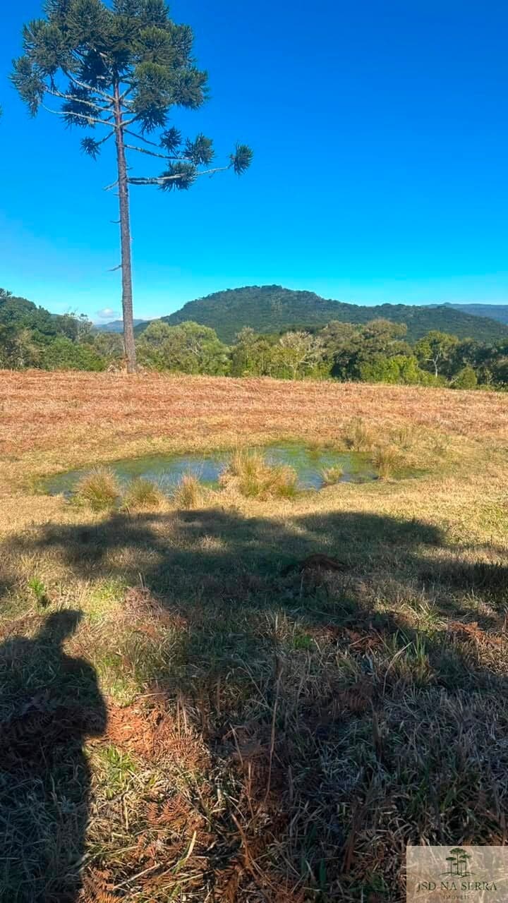 Lote/Terreno em Urubici - Rio Dos Bugres