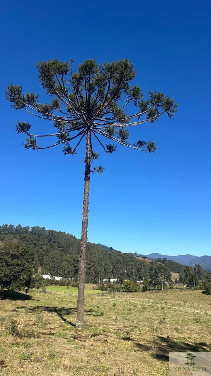 Lote/Terreno em Urubici - Invernador