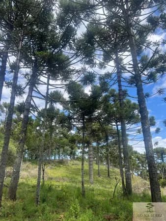 Fazenda/Sítios/Chácaras em São Joaquim - Pericó
