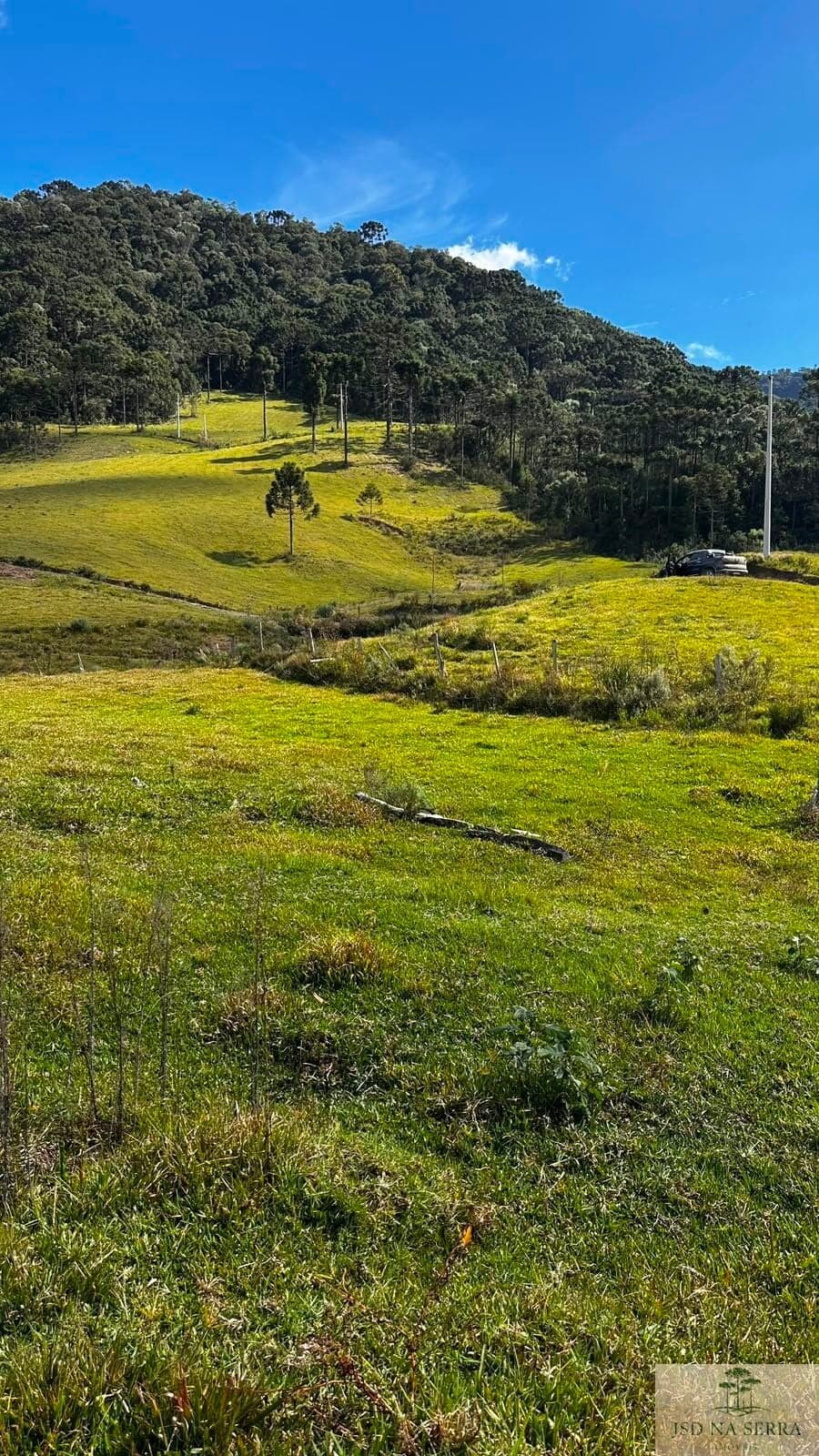 Fazenda/Sítios/Chácaras em Urubici - Interior