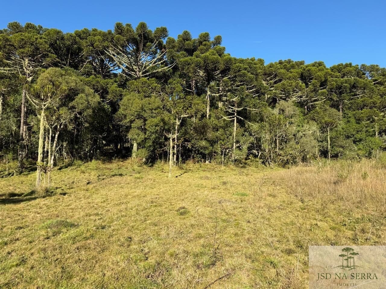 Área Rural em Pinheiros, Urupema/SC