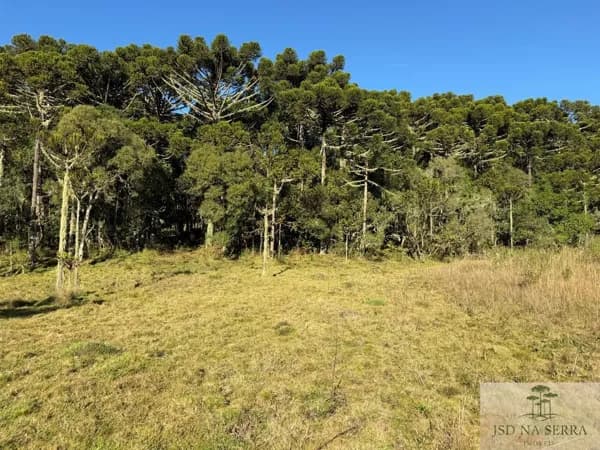 Área Rural em Pinheiros, Urupema/SC
