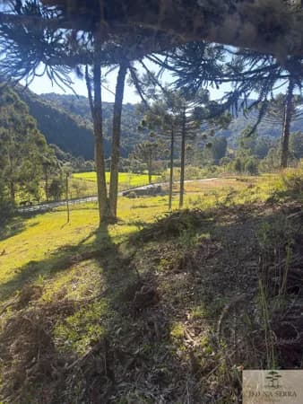 Lote/Terreno em Urubici - Rio Dos Bugres