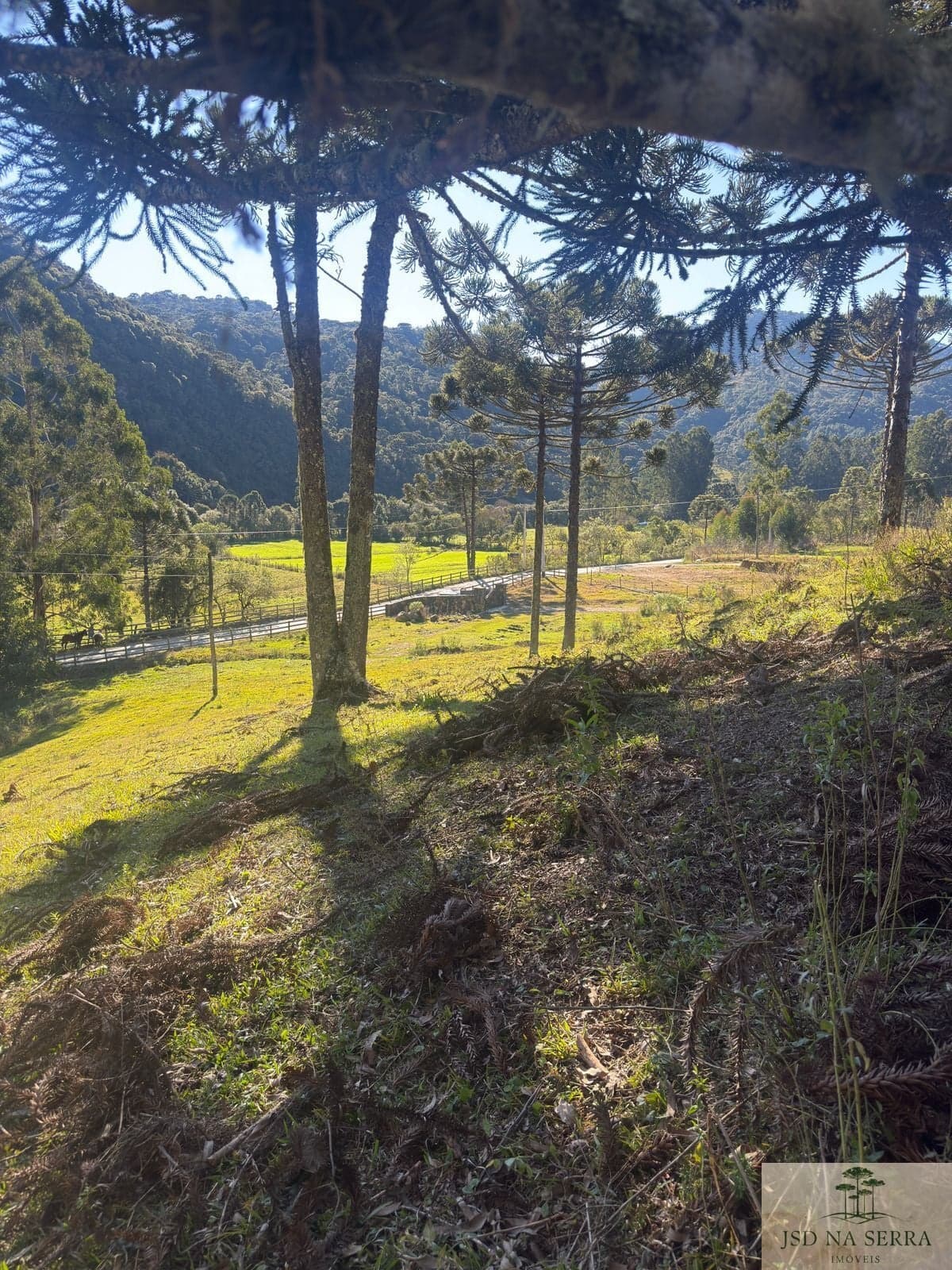 Lote/Terreno em Urubici - Rio Dos Bugres