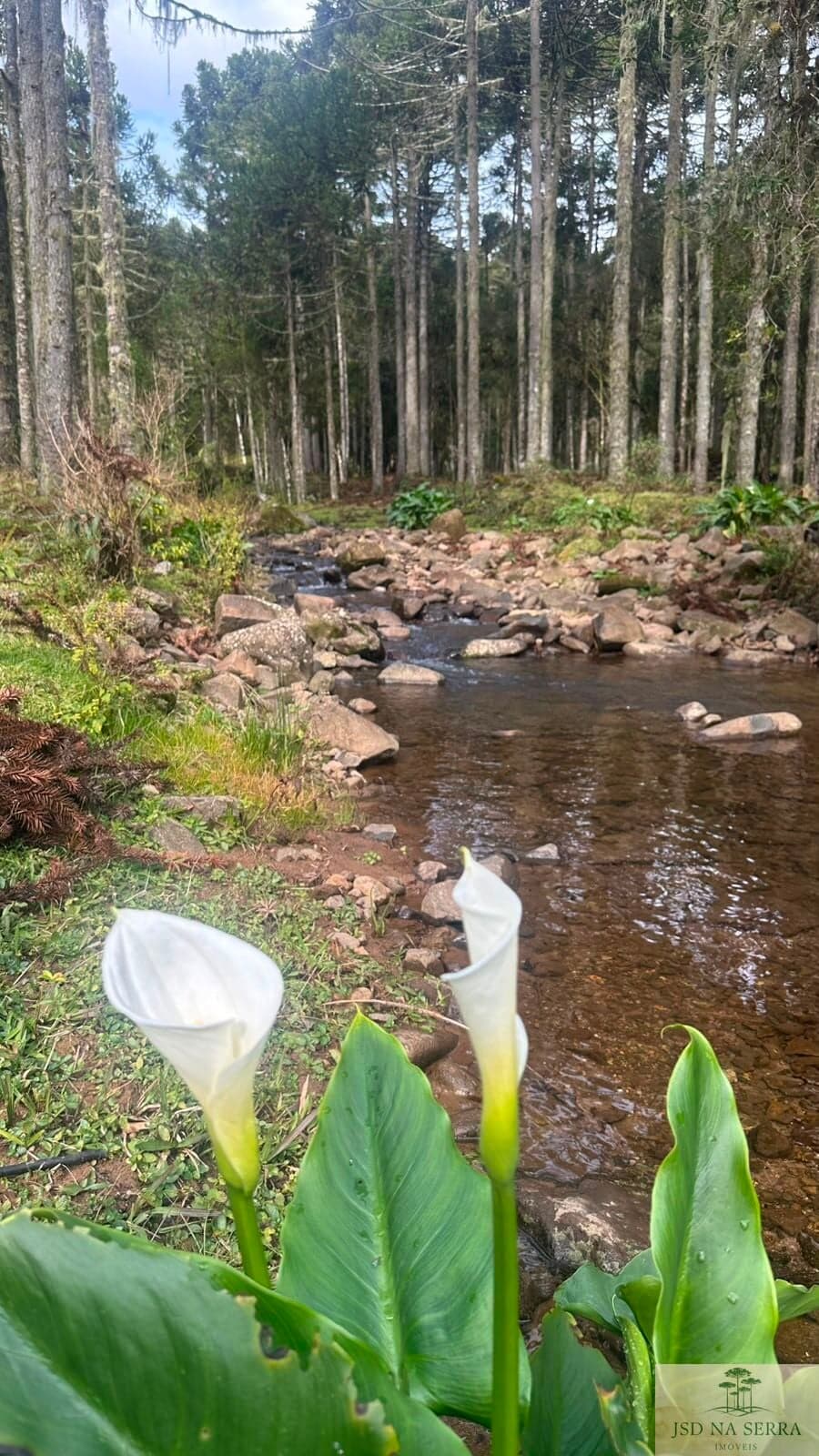 Lote/Terreno em Urubici - Rio Dos Bugres