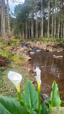Lote/Terreno em Urubici - Rio Dos Bugres