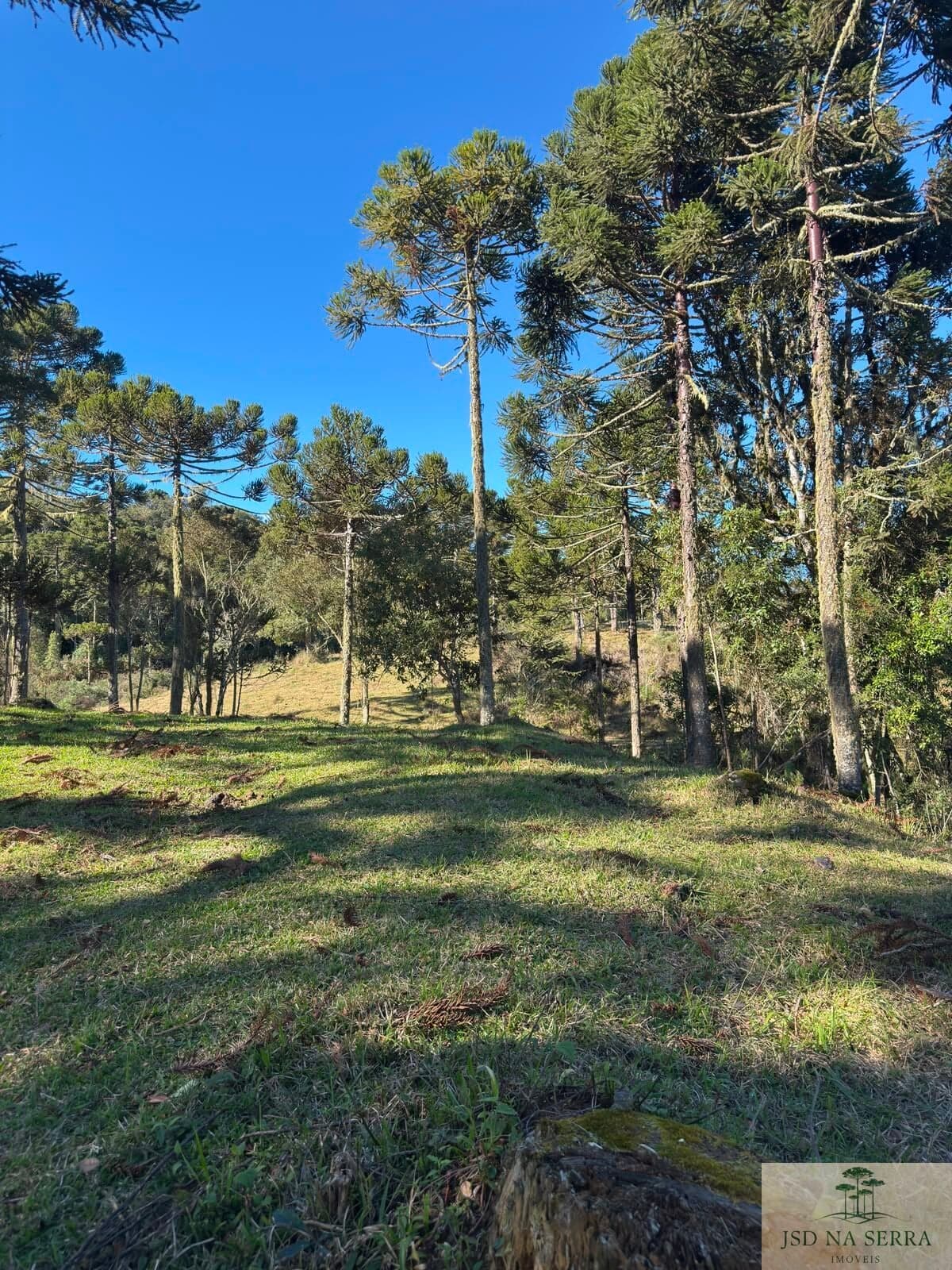 Lote/Terreno em Urubici - Rio Dos Bugres