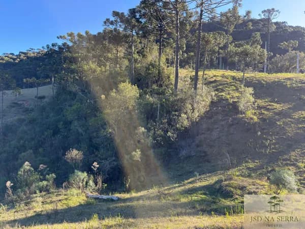 Lote/Terreno em Urubici - Rio Dos Bugres
