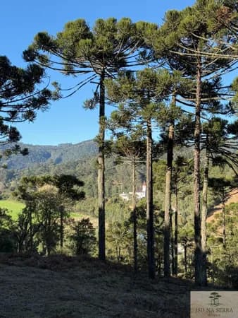 Fazenda/Sítios/Chácaras em Urubici - Consolação