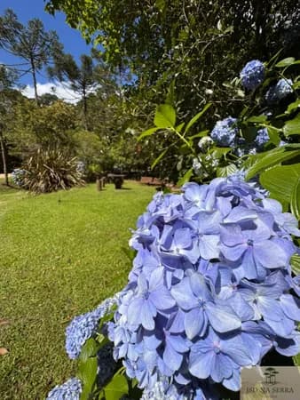 Lote/Terreno em Bom Retiro - Centro