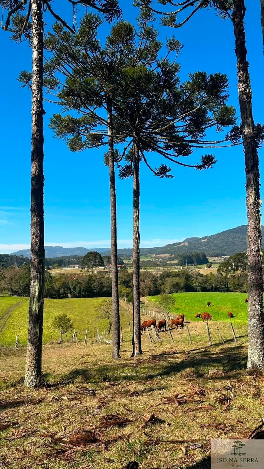 Fazenda/Sítios/Chácaras em Urubici - São Francisco