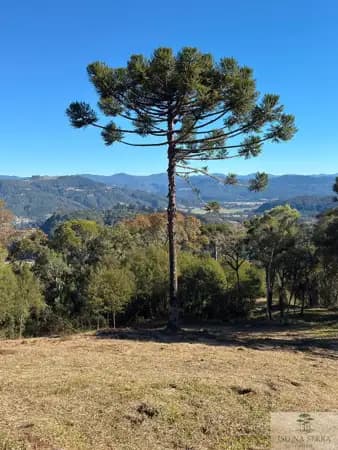 Lote/Terreno em Urubici - Rio Dos Bugres