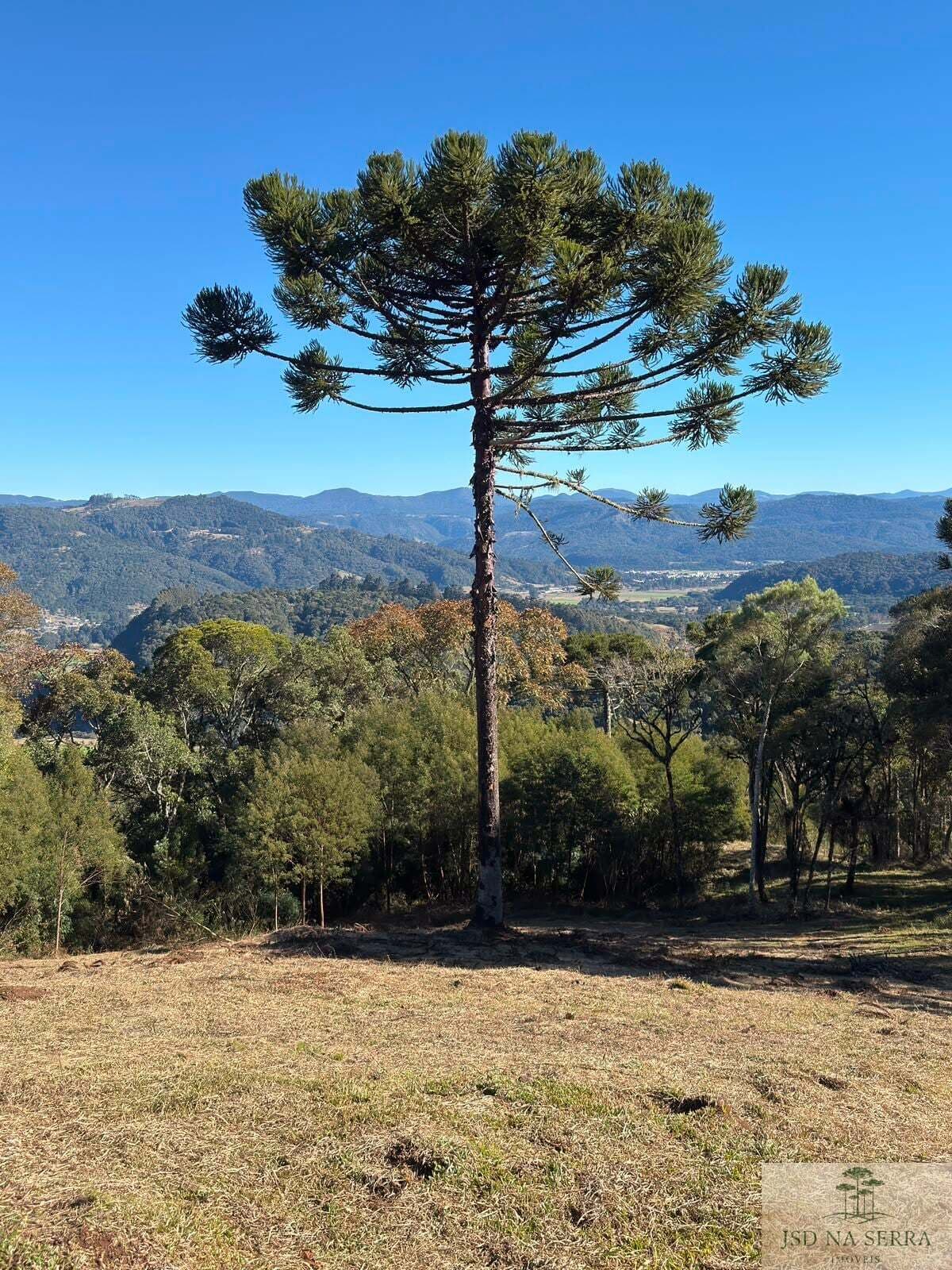 Lote/Terreno em Urubici - Rio Dos Bugres