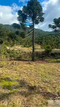 Lote/Terreno em Urubici - Vacas Gordas