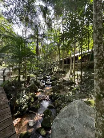 Venda de Sítio Encantador com 47.232,84m² (4,7 Hectares) em Biguaçu – SC