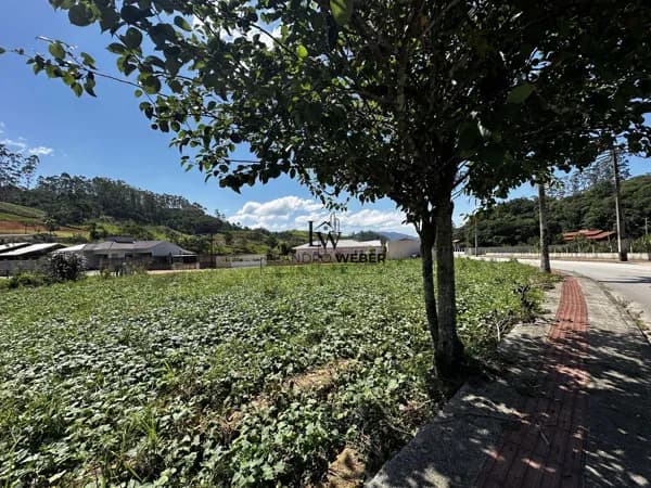 Terreno com 1.303,76m² - Com Escritura - Antônio Carlos - SC