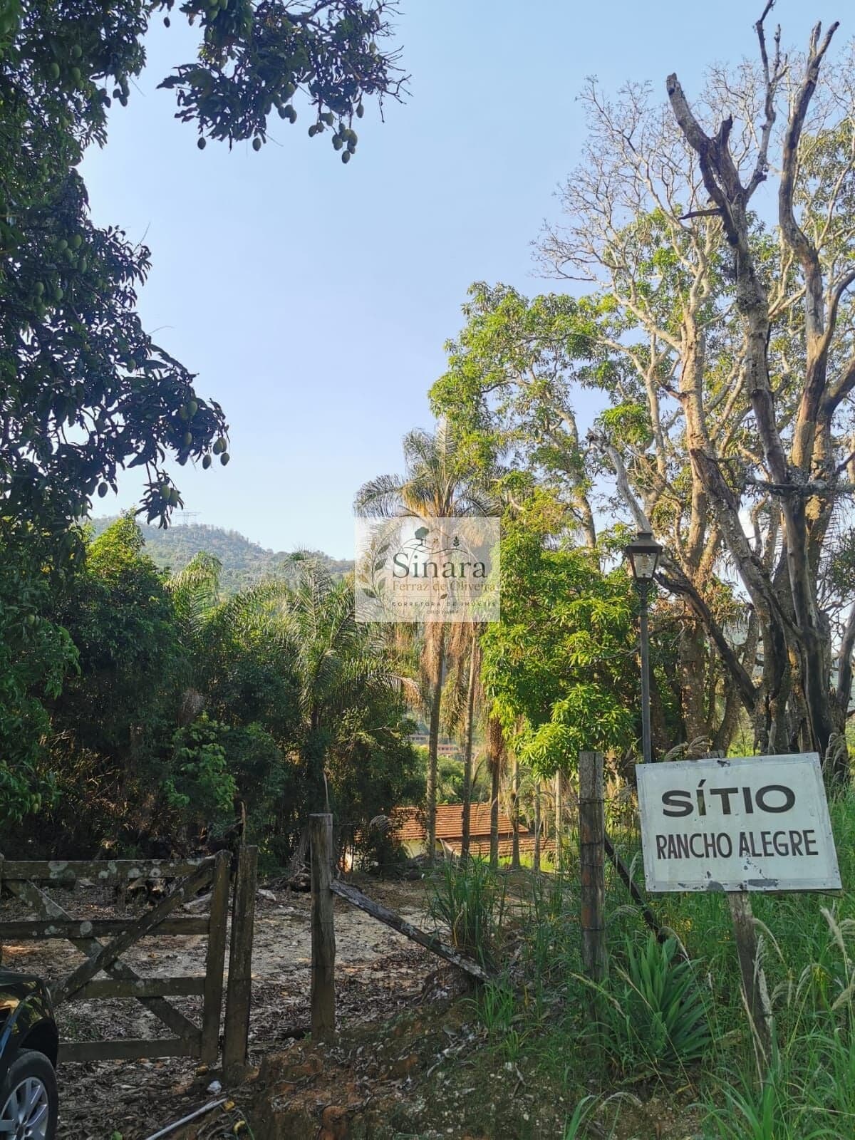 Fazenda/Sítios/Chácaras em Monte Alegre do Sul - Lambedor