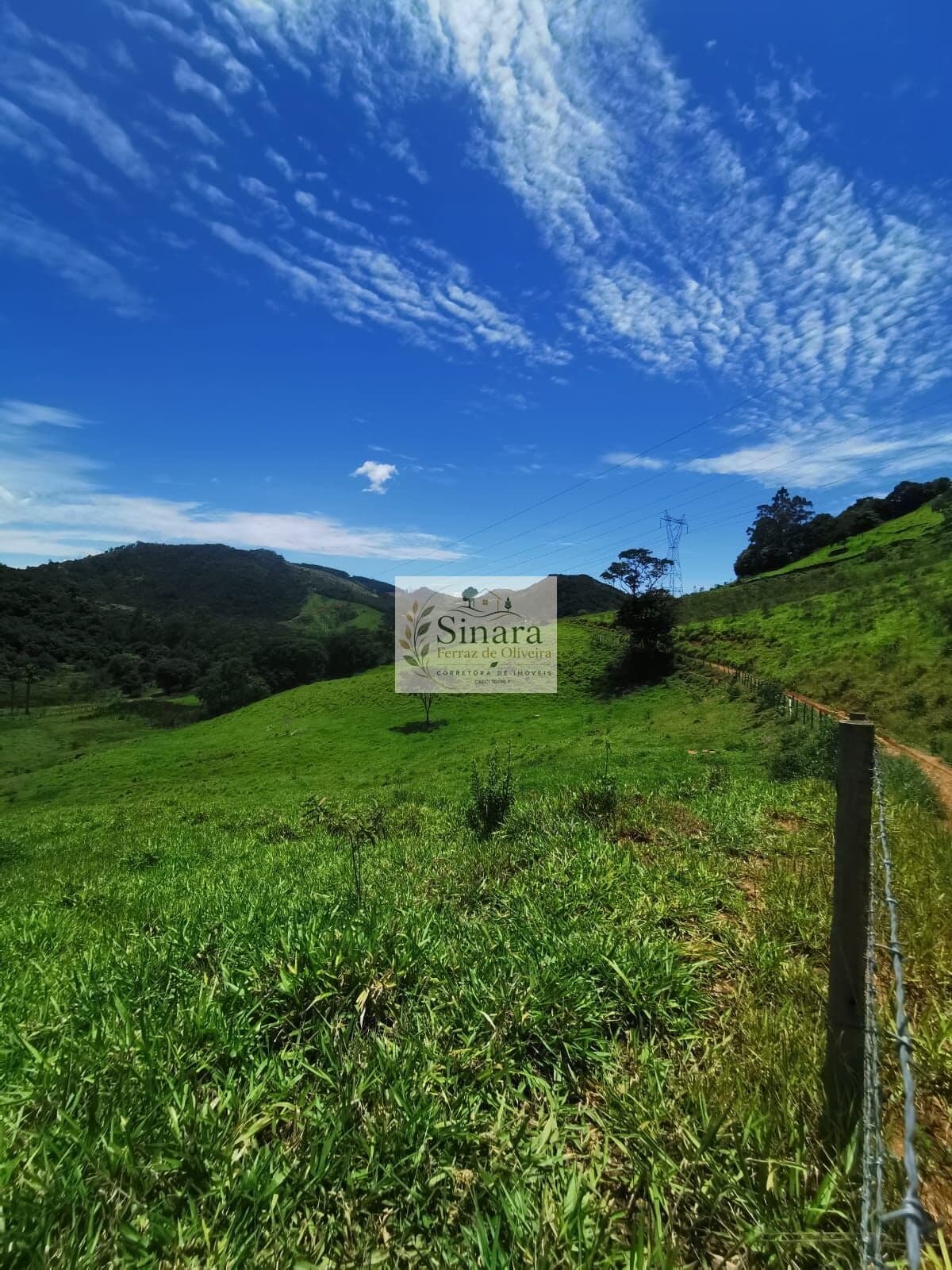 Fazenda/Sítios/Chácaras em Monte Alegre do Sul - Bairro Falcão