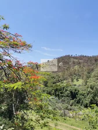 Fazenda/Sítios/Chácaras em Serra Negra - Area Rural