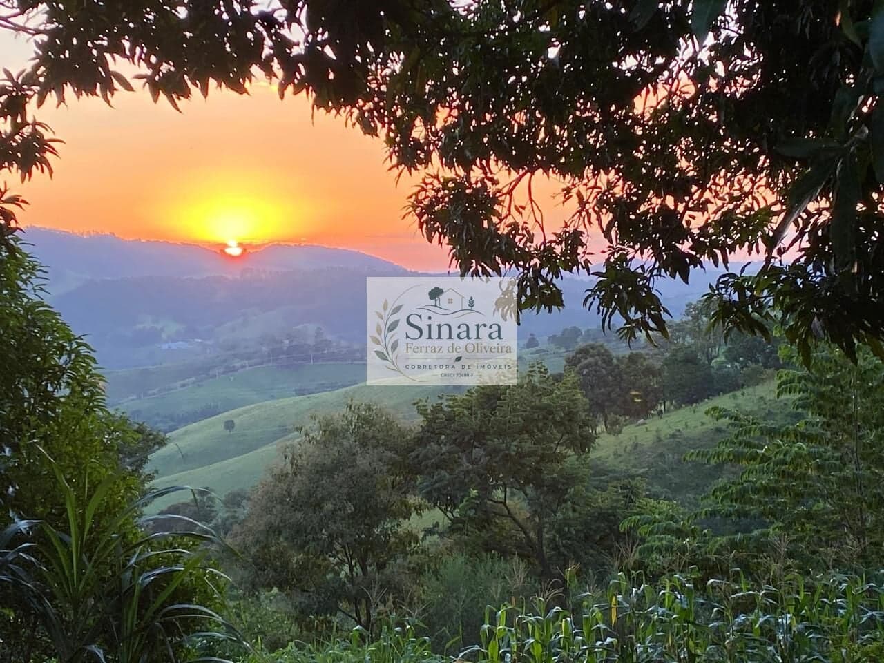 Fazenda/Sítios/Chácaras em Lindóia - Área Rural