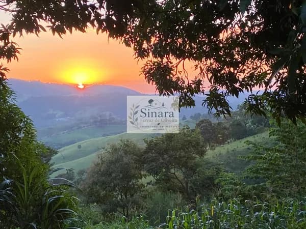 Fazenda/Sítios/Chácaras em Lindóia - Área Rural
