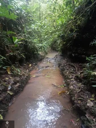 Fazenda/Sítios/Chácaras em Meleiro - Morro Grande