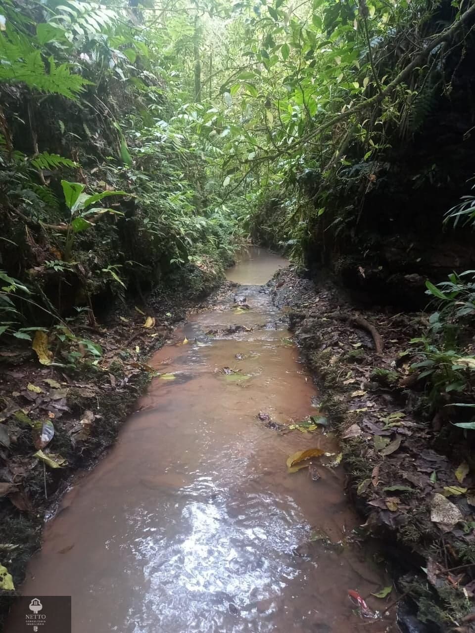 Fazenda/Sítios/Chácaras em Meleiro - Morro Grande