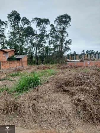 Terreno no Rio Maina