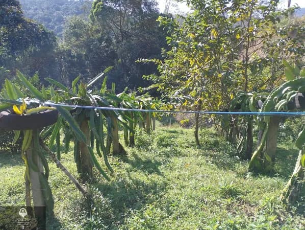 Terreno para sítio em Urussanga bairro Dvilla