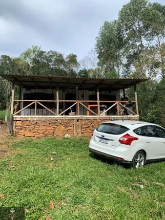 Fazenda/Sítios/Chácaras em Nova Veneza - Nova Veneza