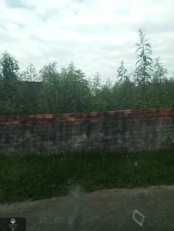 Lote/Terreno em Criciúma - Boa Vista