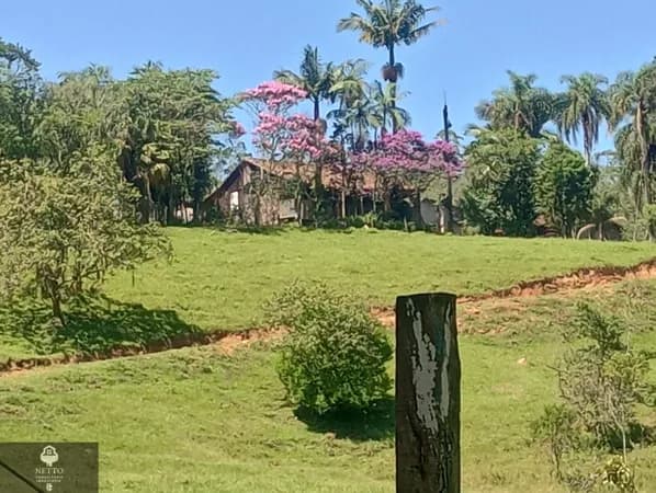 Fazenda/Sítios/Chácaras em Urussanga - Barro Vermelho