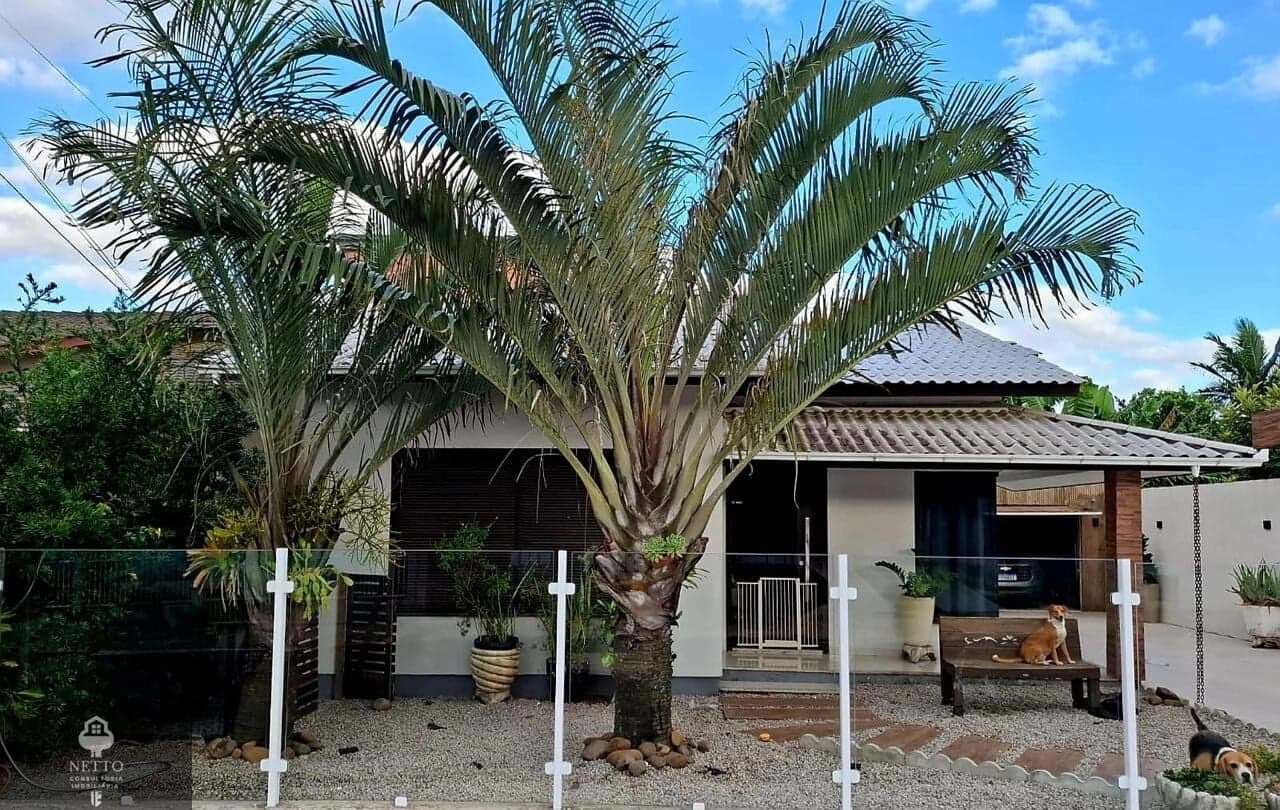 Bairro Jaqueline - Içara