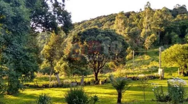 Chácara com 3 dormitórios à venda - Vila da Alegria - Bom Jesus/RS
