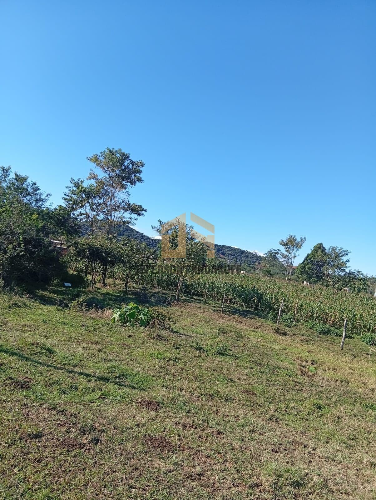 🏡 OPORTUNIDADE IMPERDÍVEL EM SÃO JOÃO BATISTA!