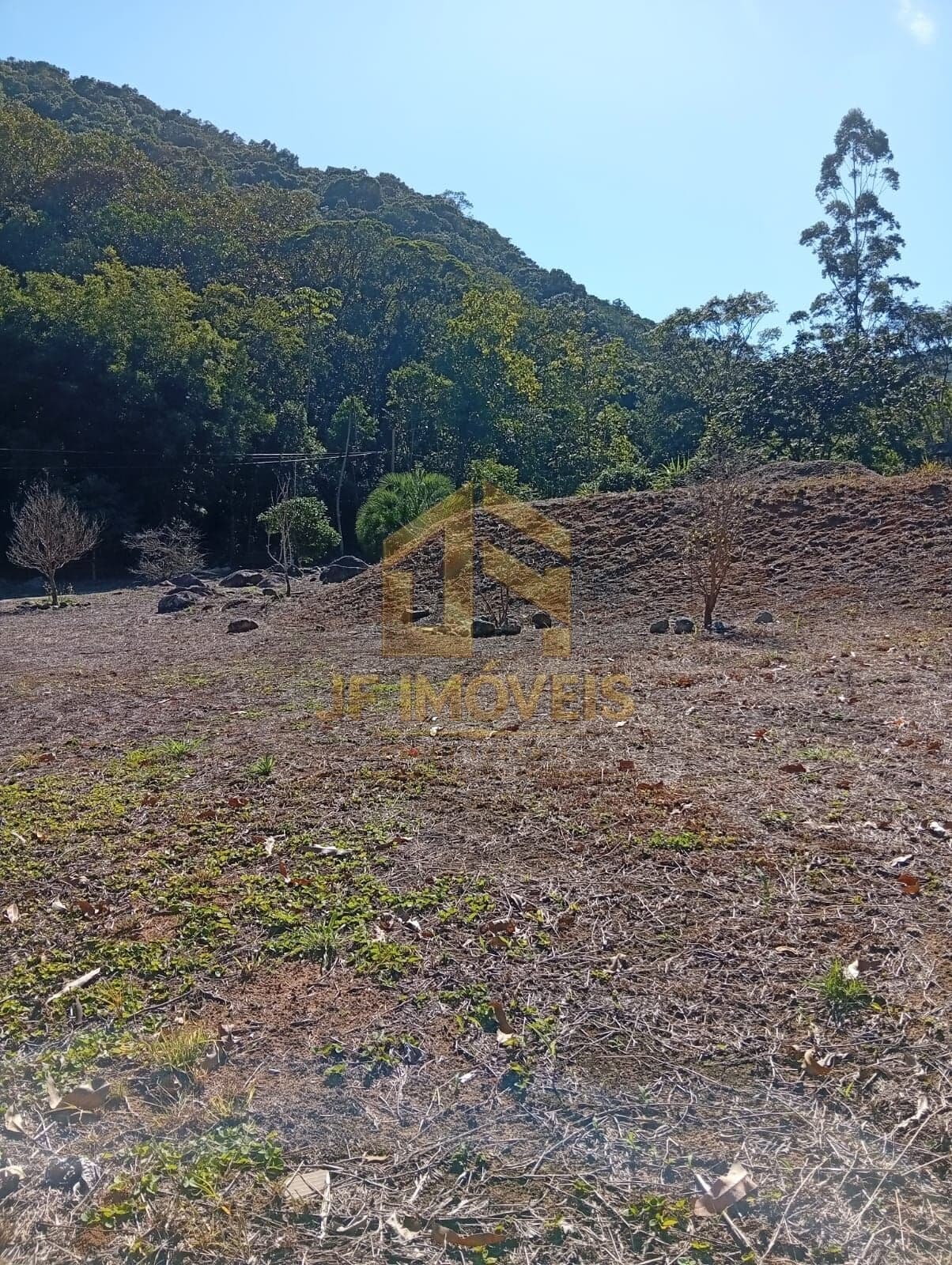 🌿✨ Oportunidade Única em Meio à Natureza!