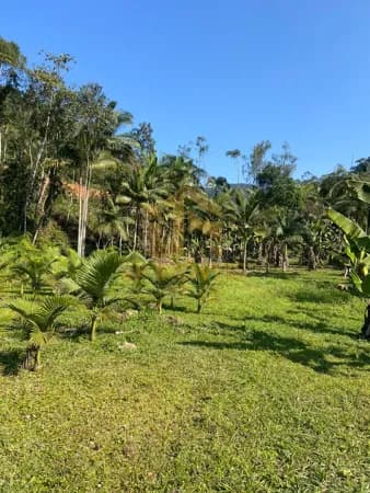 Lote/Terreno em Nova Trento - ribeirao.da.velha