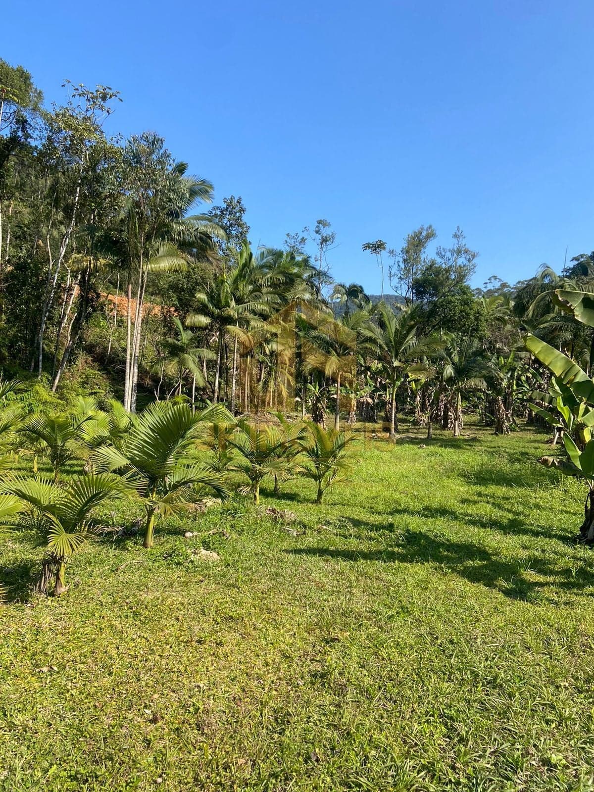 Lote/Terreno em Nova Trento - ribeirao.da.velha