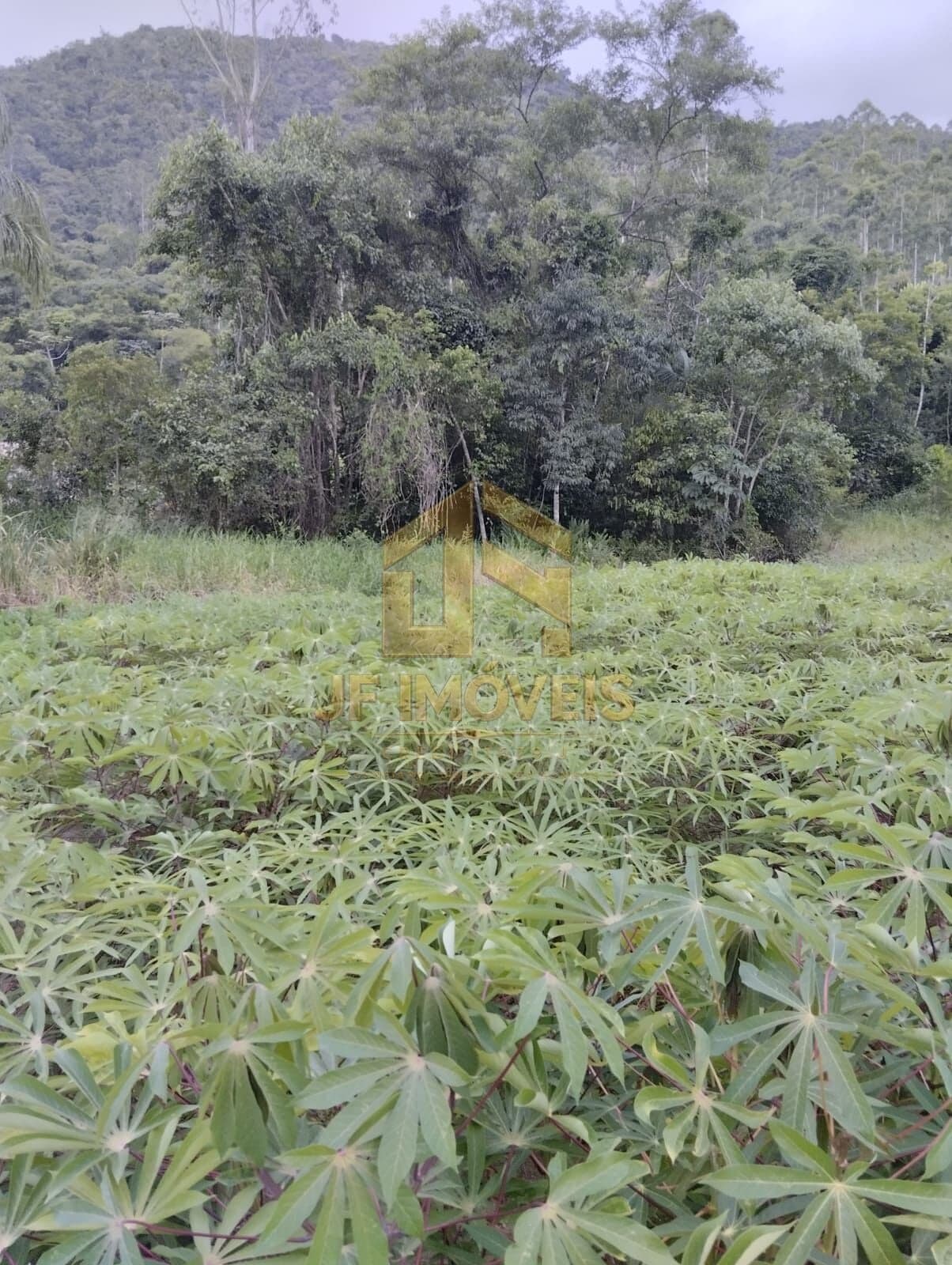 🌿 TERRENO À VENDA – AMPLO ESPAÇO NO INTERIOR 🌿