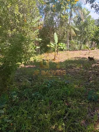 Terreno à Venda – Bairro Nega-chica | Major
