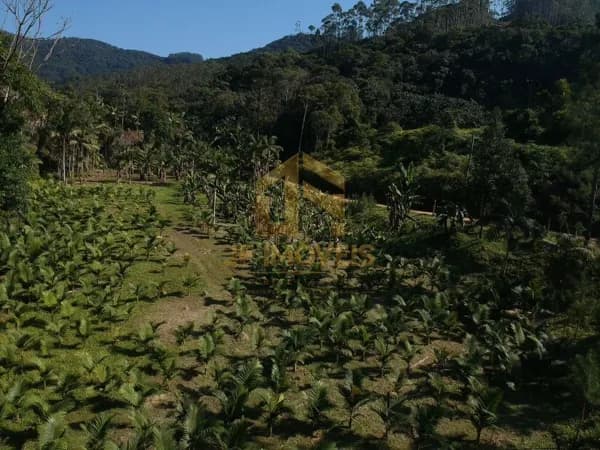 Lote/Terreno em Nova Trento - ribeirao.da.velha