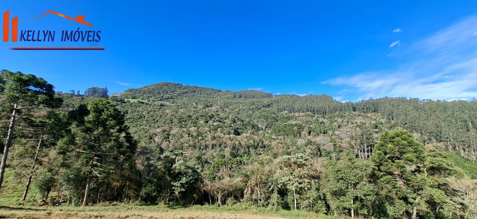 Fazenda/Sítios/Chácaras em Faxinal dos Guedes - Interior